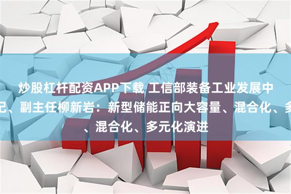 炒股杠杆配资APP下载 工信部装备工业发展中心党委书记、副主任柳新岩：新型储能正向大容量、混合化、多元化演进