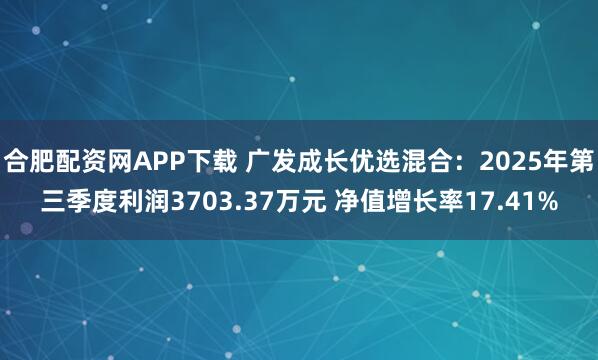 合肥配资网APP下载 广发成长优选混合：2025年第三季度利润3703.37万元 净值增长率17.41%