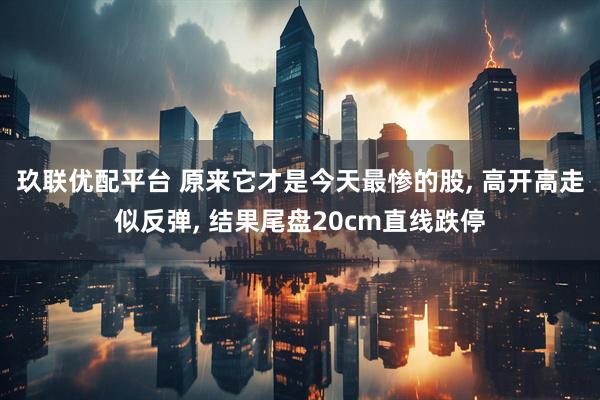 玖联优配平台 原来它才是今天最惨的股, 高开高走似反弹, 结果尾盘20cm直线跌停